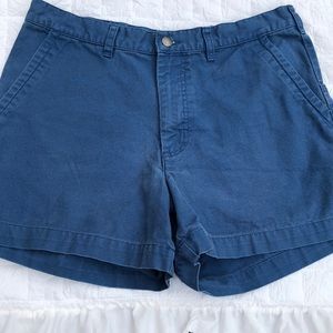 Patagonia Shorts Blue Size 36